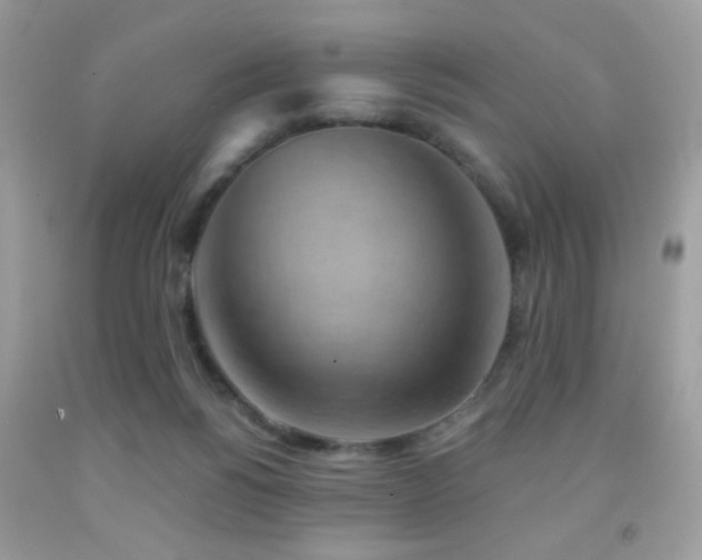 X0000092010168200709061540
