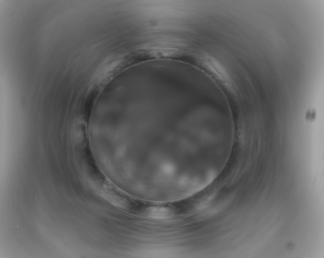 X0000092010169200709061540