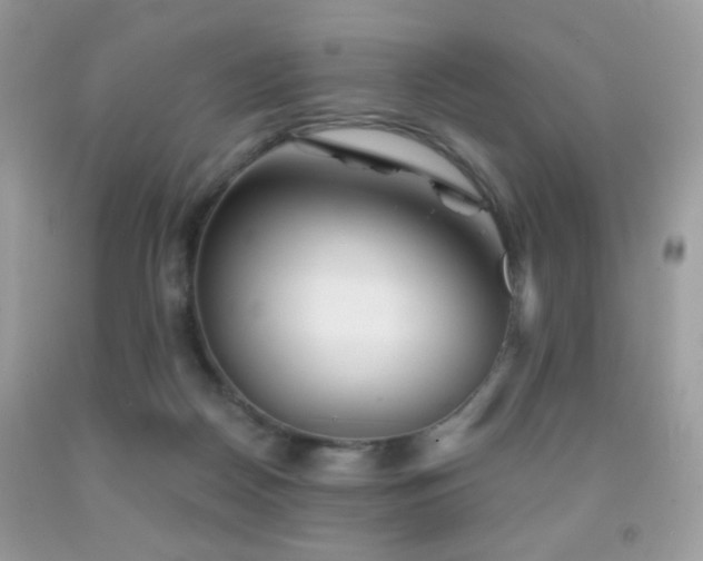 X0000092010170200709061540