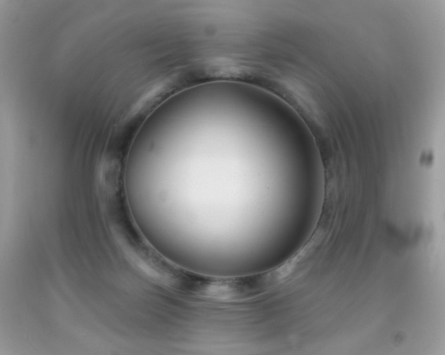 X0000092010171200709061540