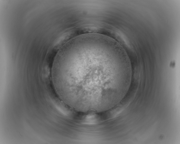 X0000092010173200709061540