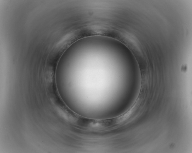 X0000092010174200709061540