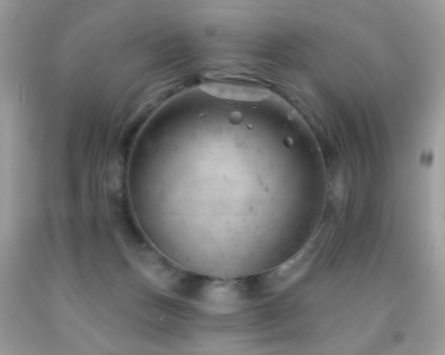 X0000092010175200709061540