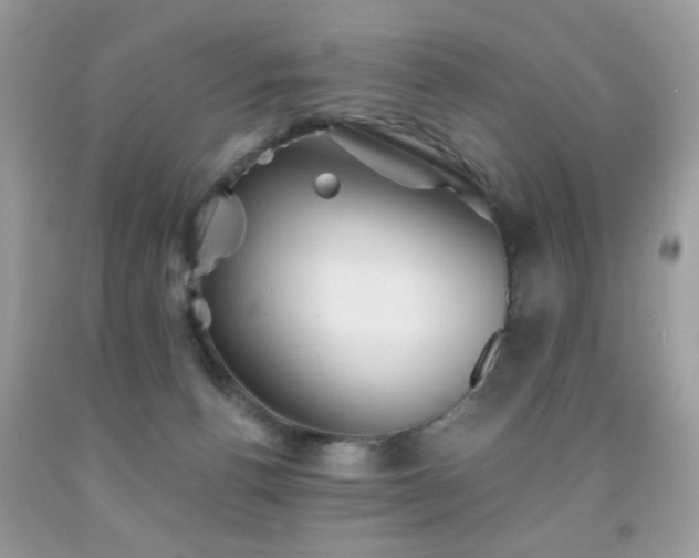 X0000092010176200709061540
