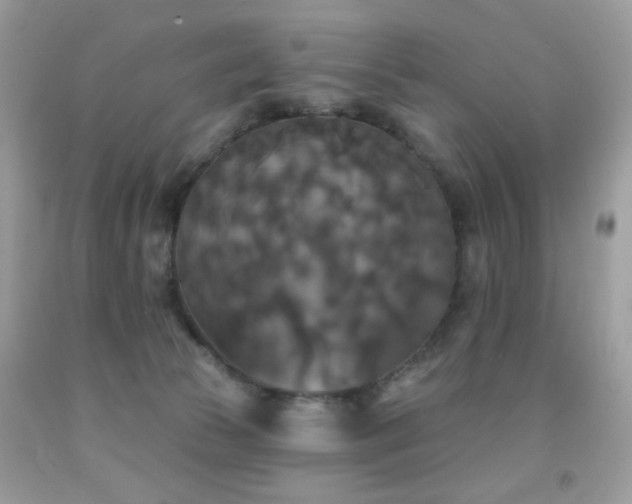 X0000092010177200709061540