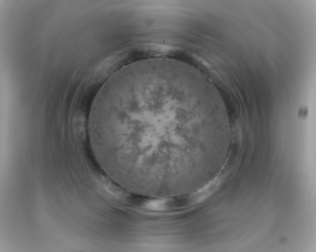 X0000092010178200709061540