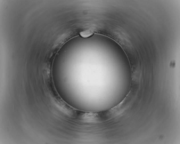 X0000092010179200709061540