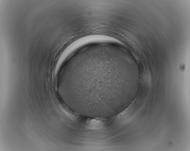 X0000092010180200709061540
