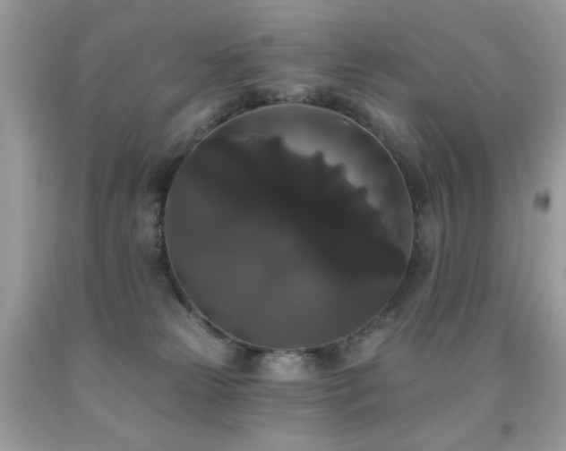 X0000092010181200709061540