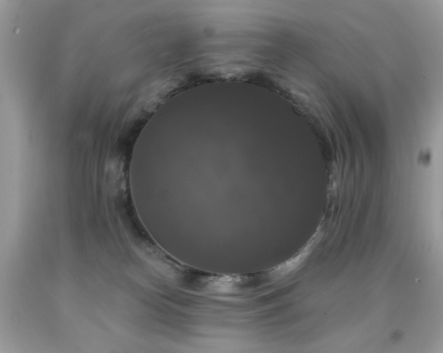 X0000092010182200709061540