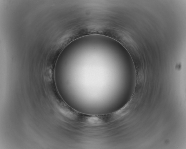 X0000092010183200709061540