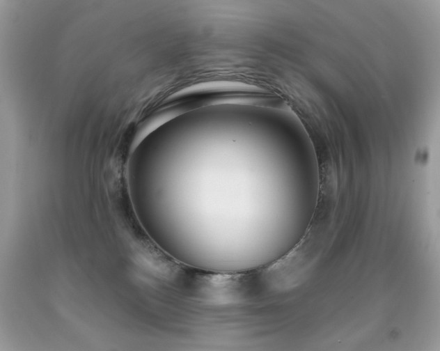 X0000092010184200709061540