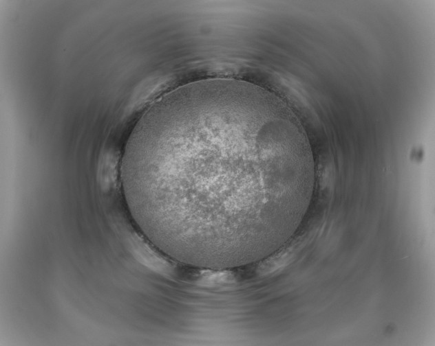X0000092010185200709061540