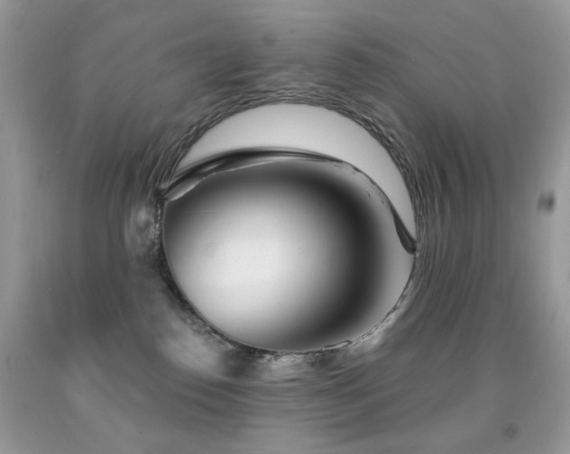 X0000092010186200709061540