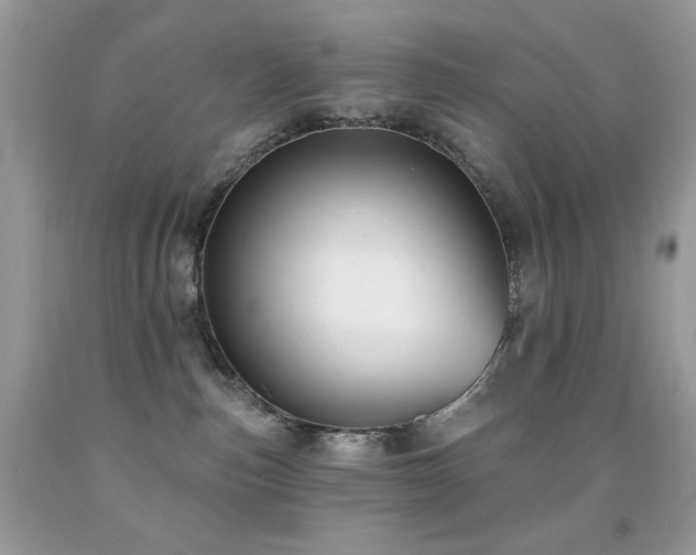 X0000092010187200709061540