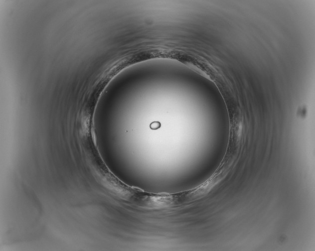 X0000092010188200709061540