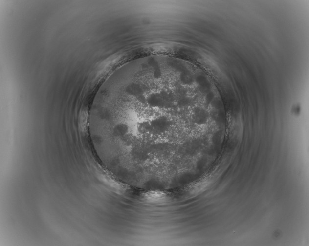X0000092010189200709061540
