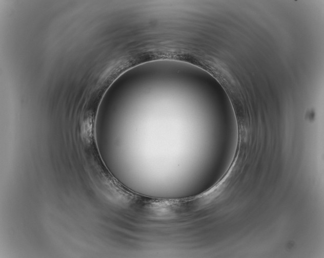 X0000092010190200709061540