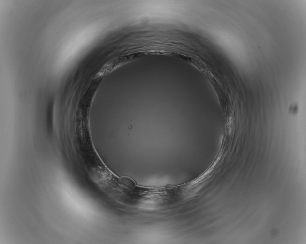 X0000092010191200709061540
