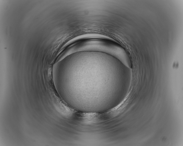 X0000092010192200709061540
