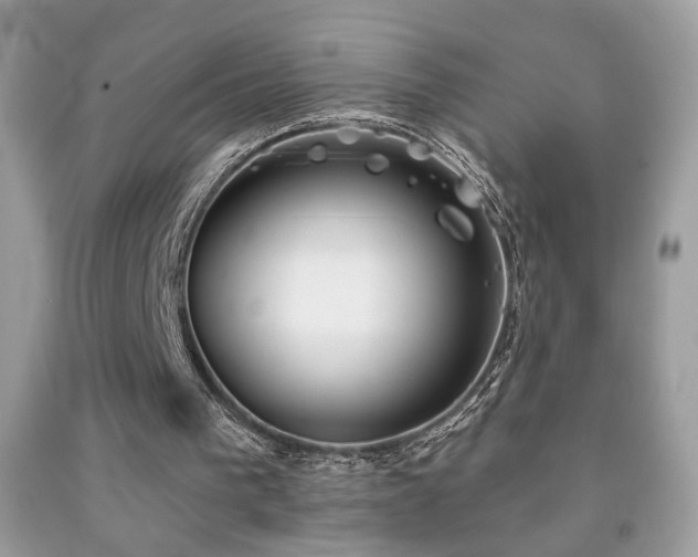 X0000092010193200709061539