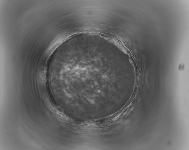 X0000092010194200709061539