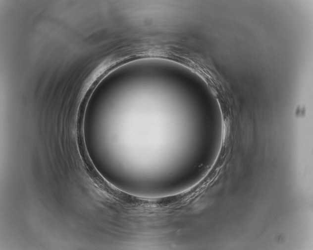 X0000092010195200709061539