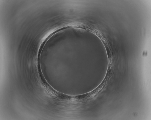 X0000092010196200709061539
