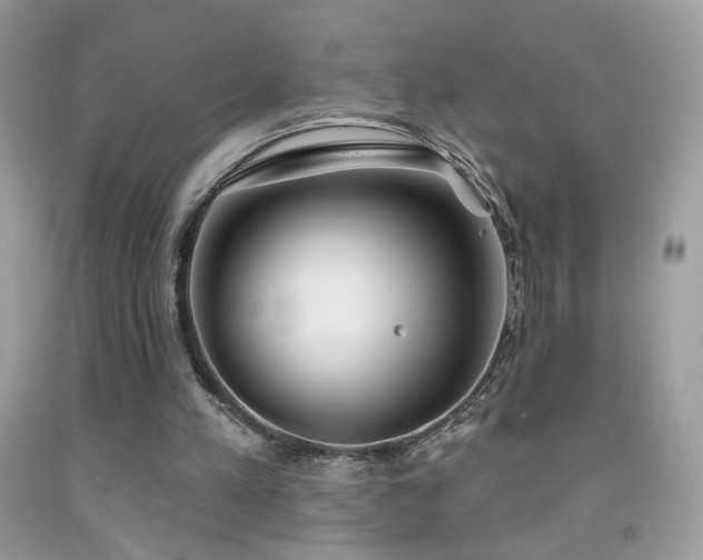 X0000092010197200709061539