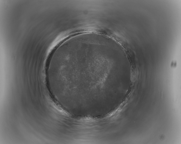 X0000092010198200709061539