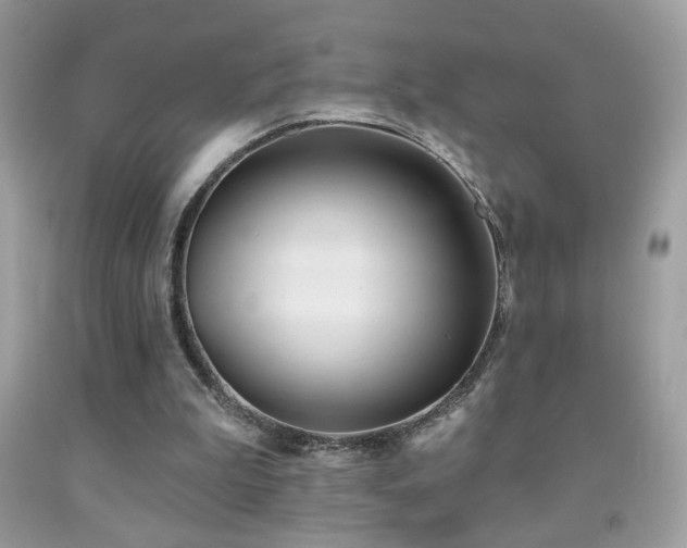 X0000092010199200709061539