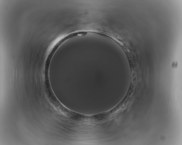 X0000092010200200709061539