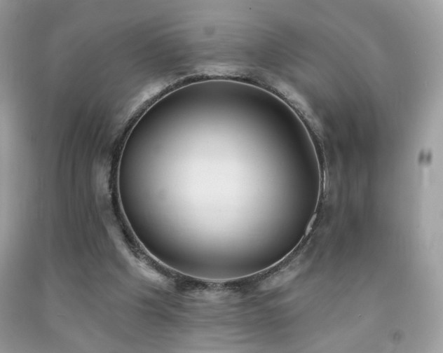 X0000092010201200709061539