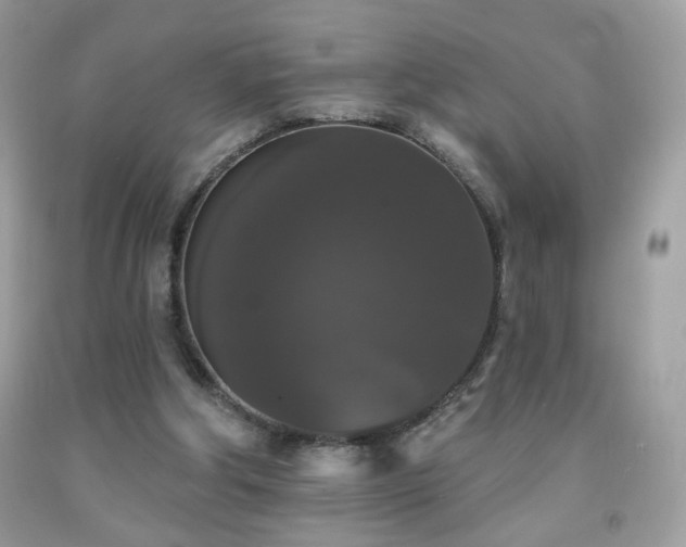 X0000092010202200709061539