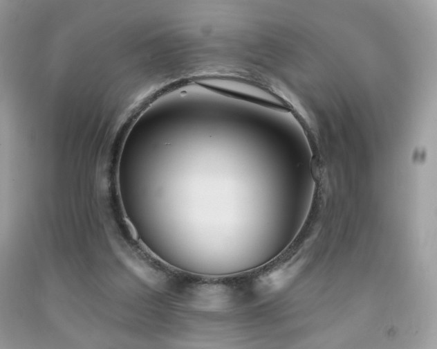 X0000092010203200709061539