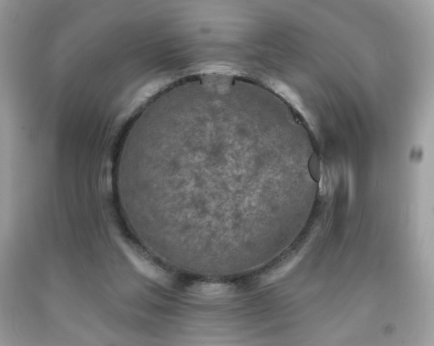X0000092010205200709061539