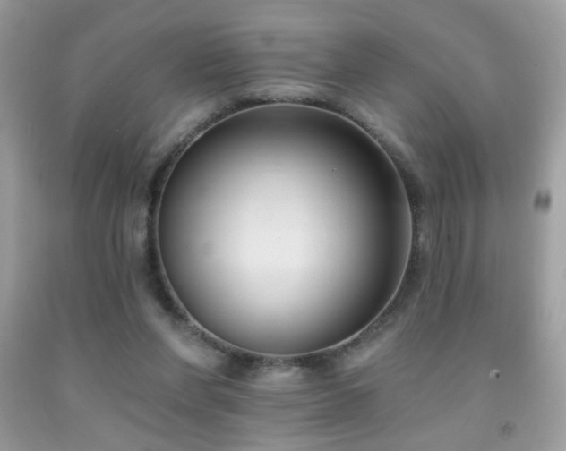 X0000092010206200709061539