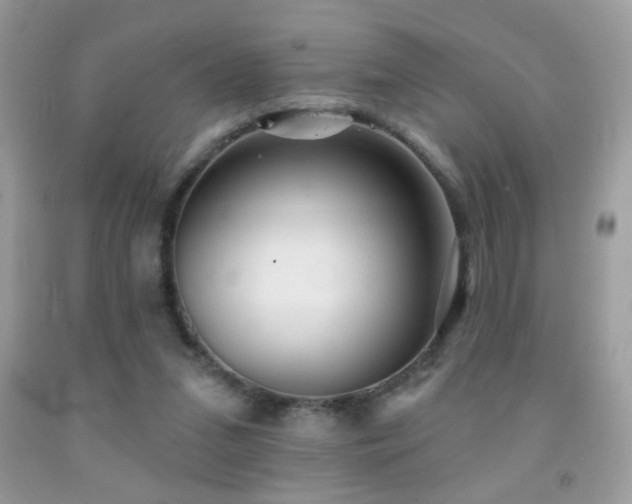 X0000092010207200709061539