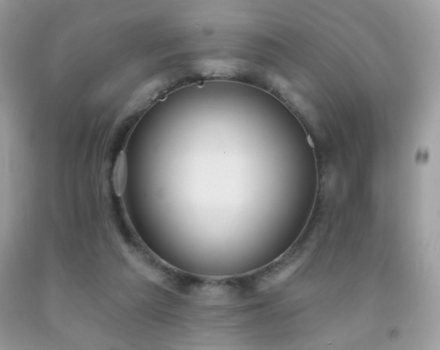 X0000092010209200709061539