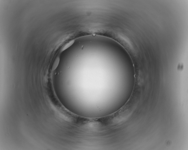 X0000092010210200709061539