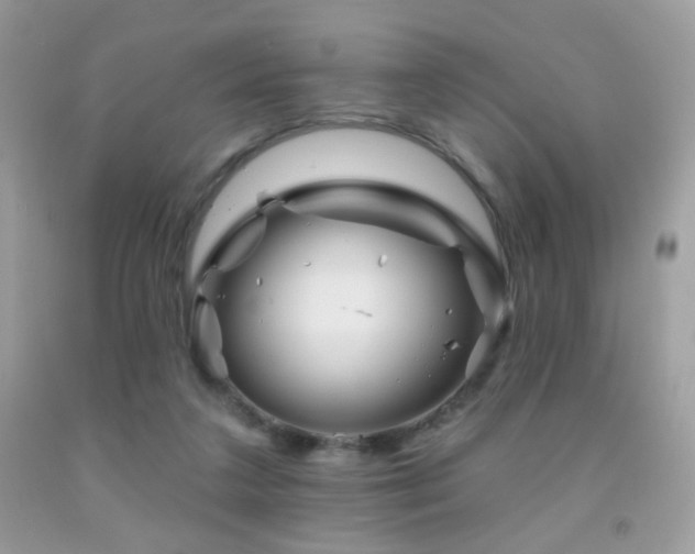 X0000092010211200709061539