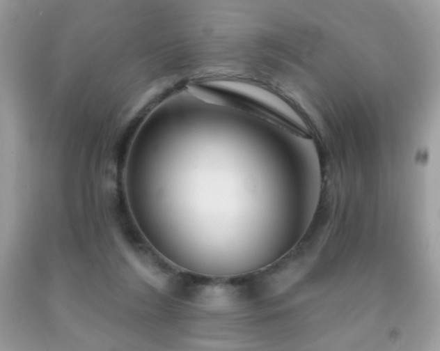 X0000092010212200709061539