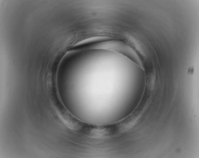 X0000092010213200709061539