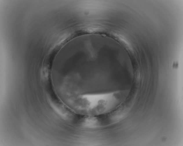X0000092010214200709061539