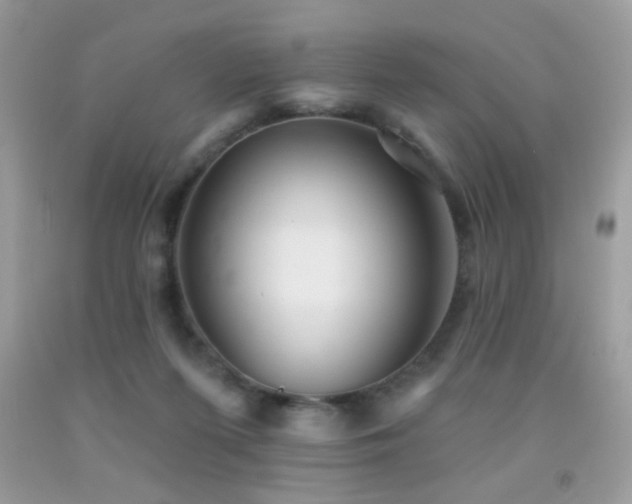 X0000092010215200709061539