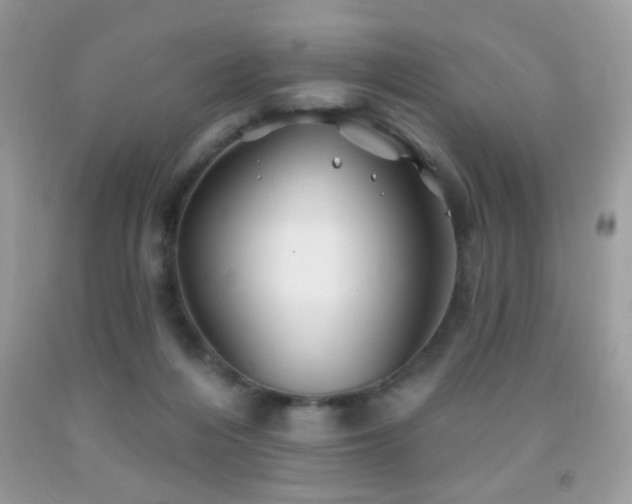 X0000092010216200709061539