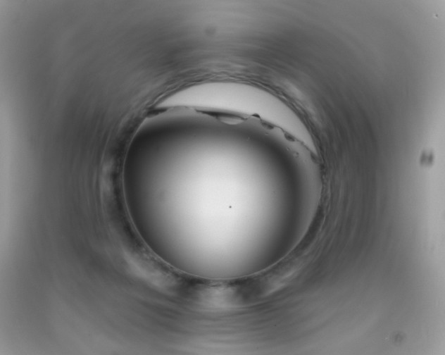 X0000092010217200709061539