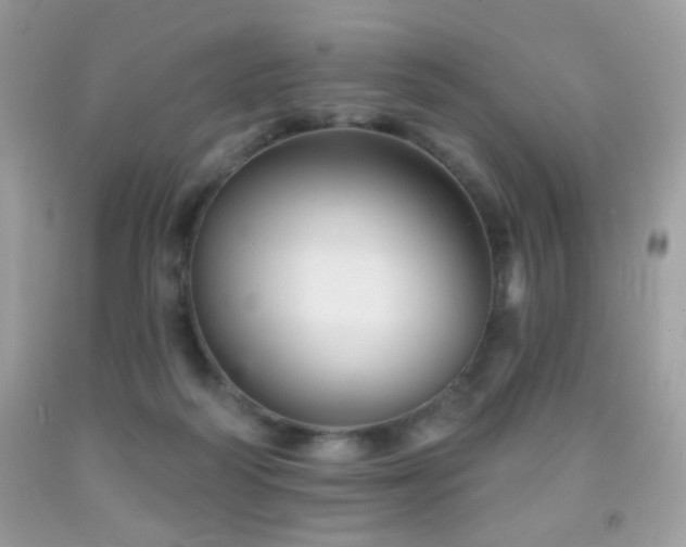 X0000092010218200709061539