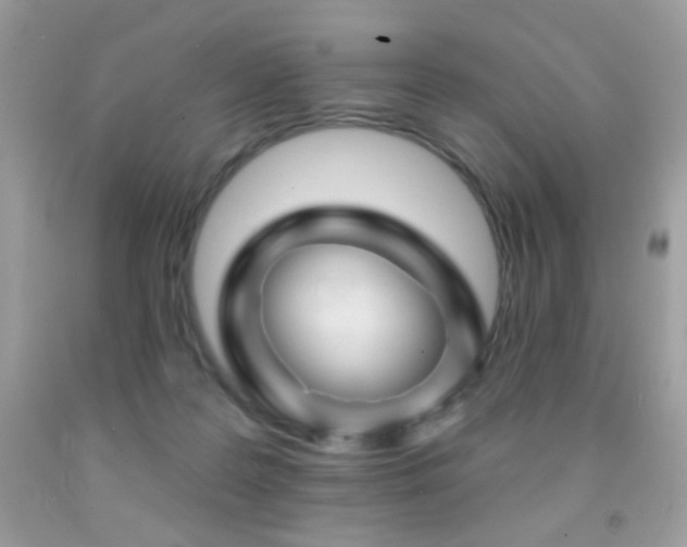 X0000092010219200709061539