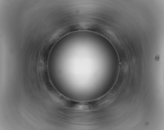 X0000092010220200709061539
